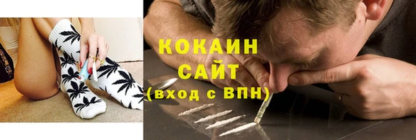 mdpv Богородск