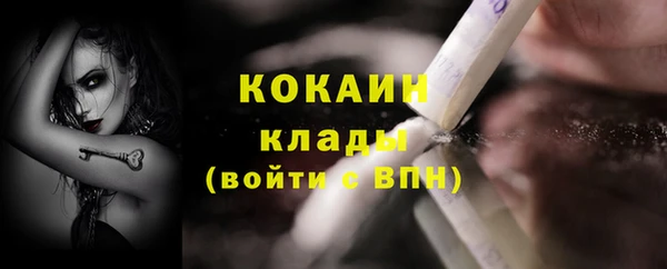 соль ск Богородицк