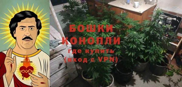 mdpv Богородск