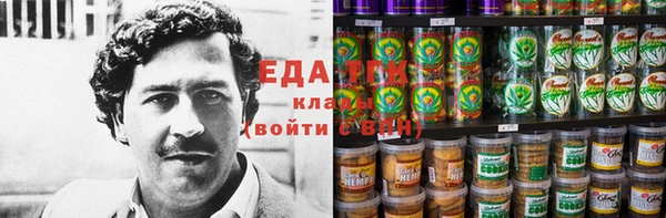 гашик Ельня