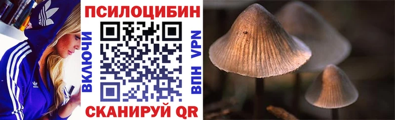 Галлюциногенные грибы Psilocybe  kraken tor  Донской 
